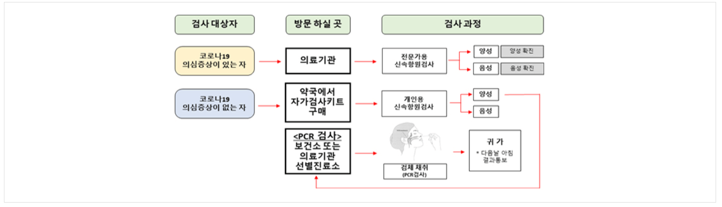 코로나 검사 절차