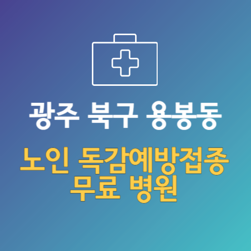 광주 북구 용봉동 노인 독감예방접종 무료 병원 (인플루엔자 무료 접종 대상 날짜)