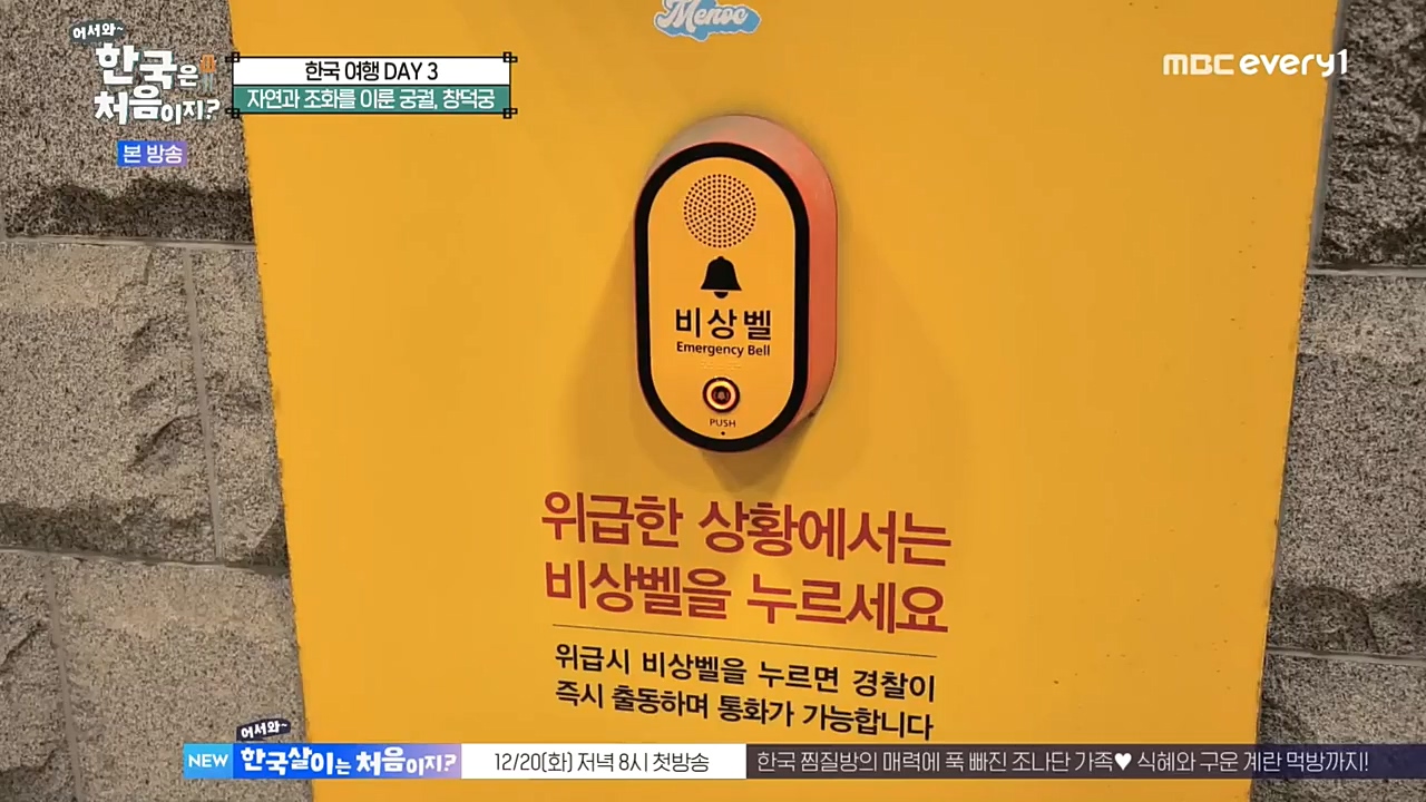 어서와 한국은 처음이지 시즌2.E241.221216p-NEXT.mp4_20221216_201247.491.jpg