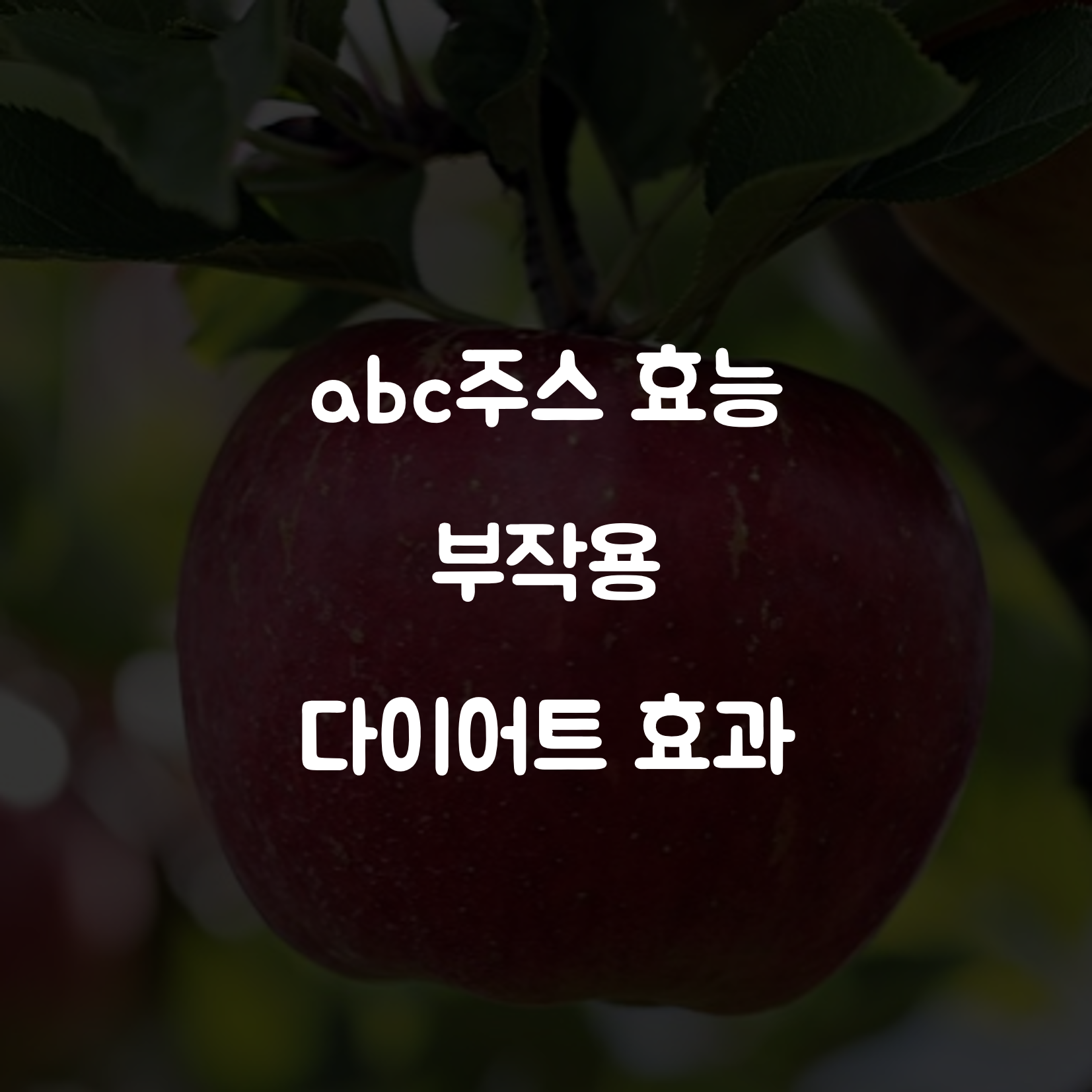 abc주스 효능 및 부작용 다이어트 효과 제목 이미지