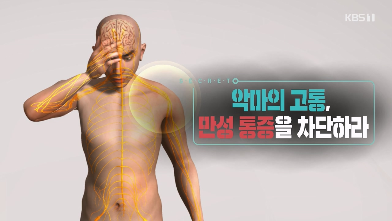 생로병사의 비밀.E897.240125p-NEXT.mp4_20240125_200300.893.jpg