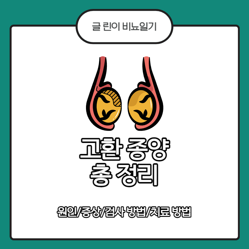  고환 종양 총 정리