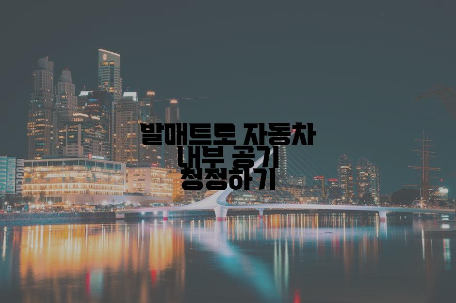 발매트로 자동차 내부 공기 청정하기