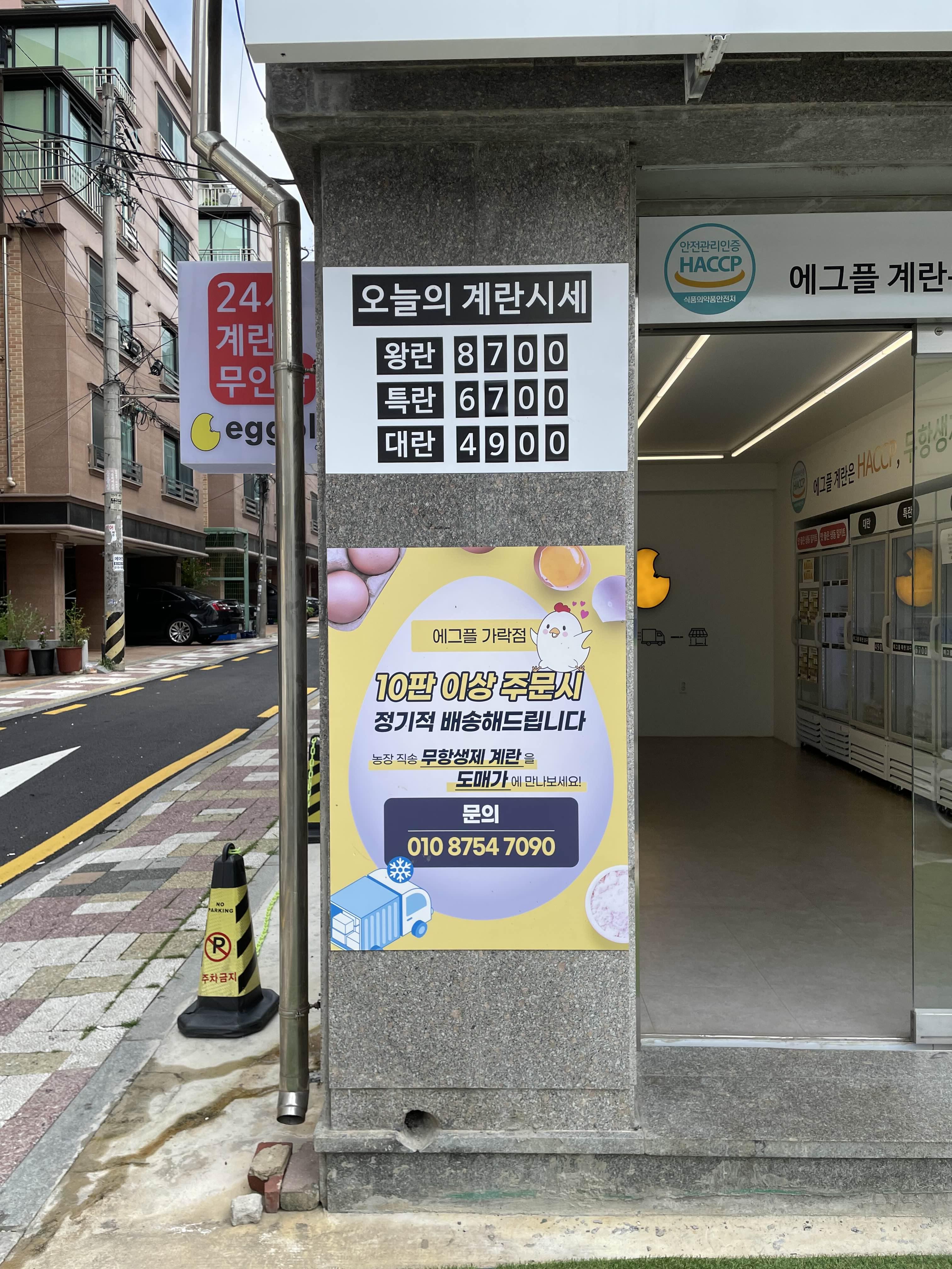 에그플 이미지