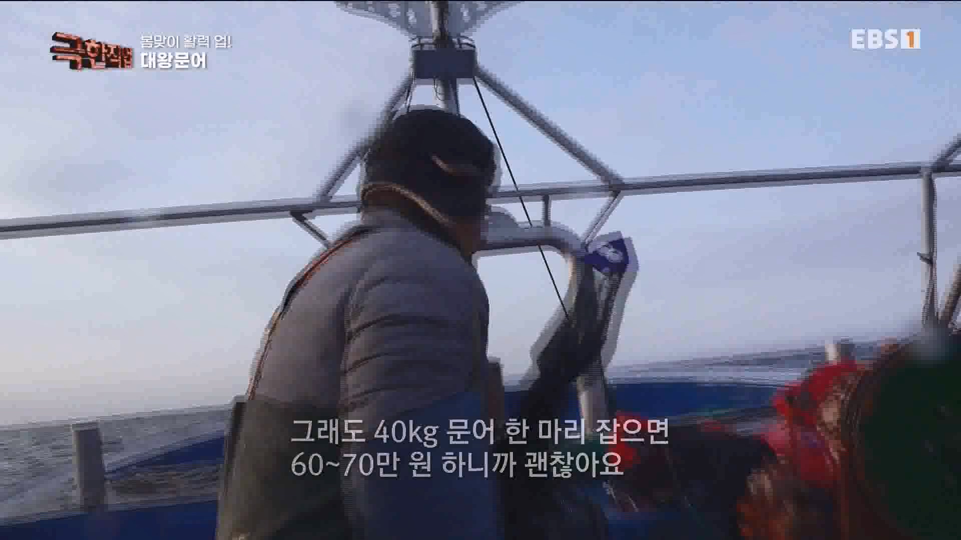 [극한 직업] 장어와 대왕문어 240316.mp4_20240317_153642.035.jpg