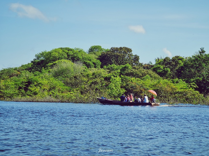 Amazon River tour 07