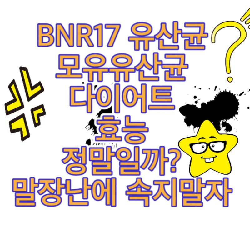 비에날씬_BNR17_유산균_효능