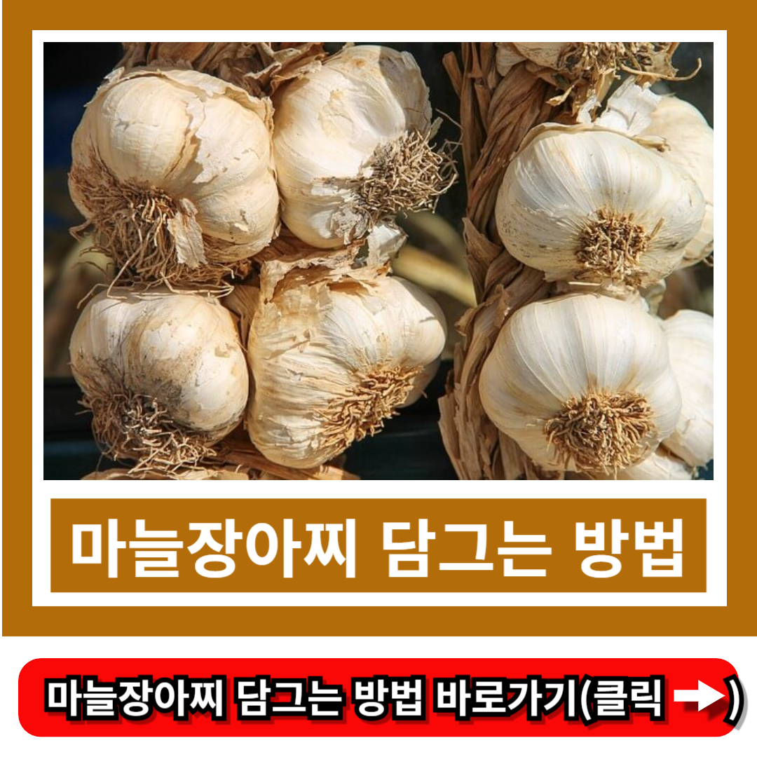 마늘장아찌 담그는 방법