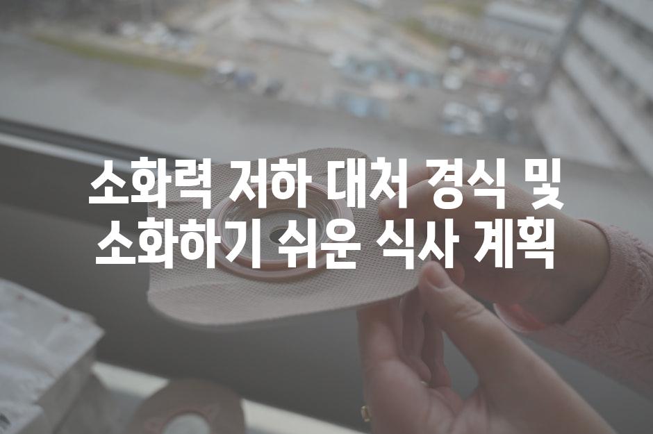 소화력 저하 대처 경식 및 소화하기 쉬운 식사 계획