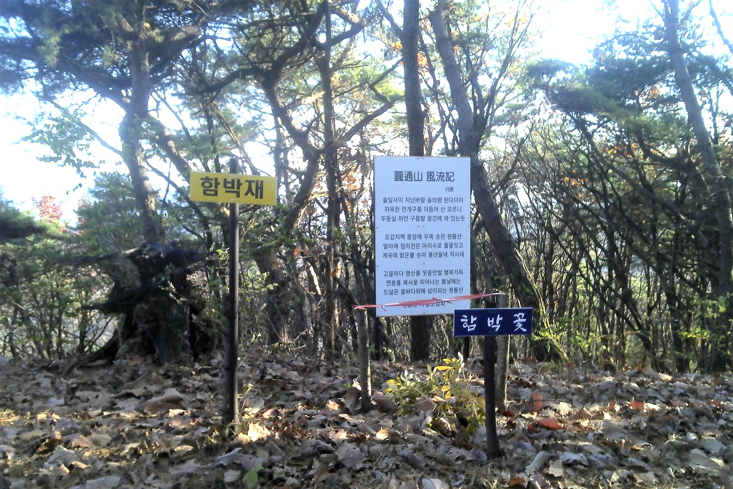 원통산 정상 이미지