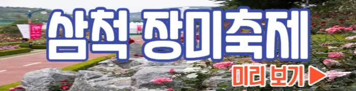 삼척 장미축제 보기