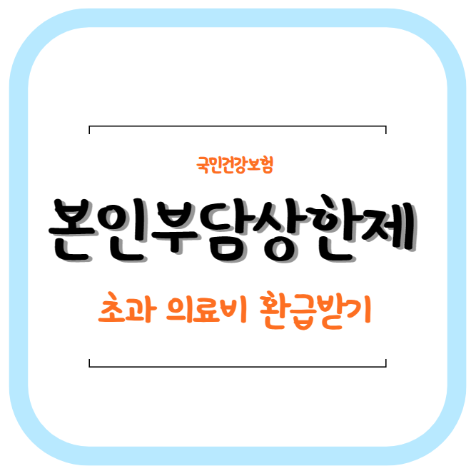  건강보험 초과 의료비 환급금 조회-본인부담 상한액 초과금 환급받기