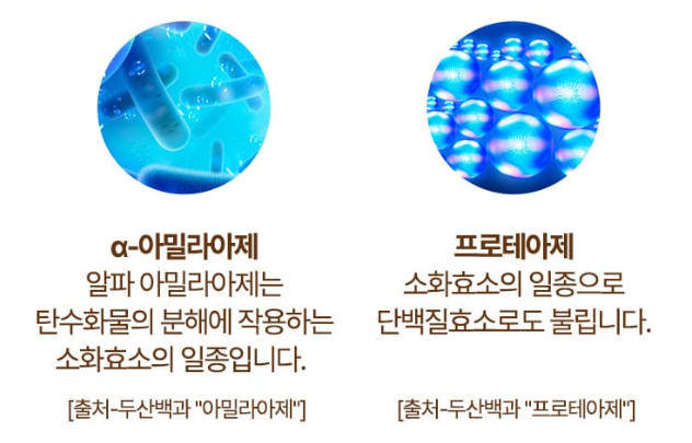 알파 아밀라아제&#44; 프로테아제 효능