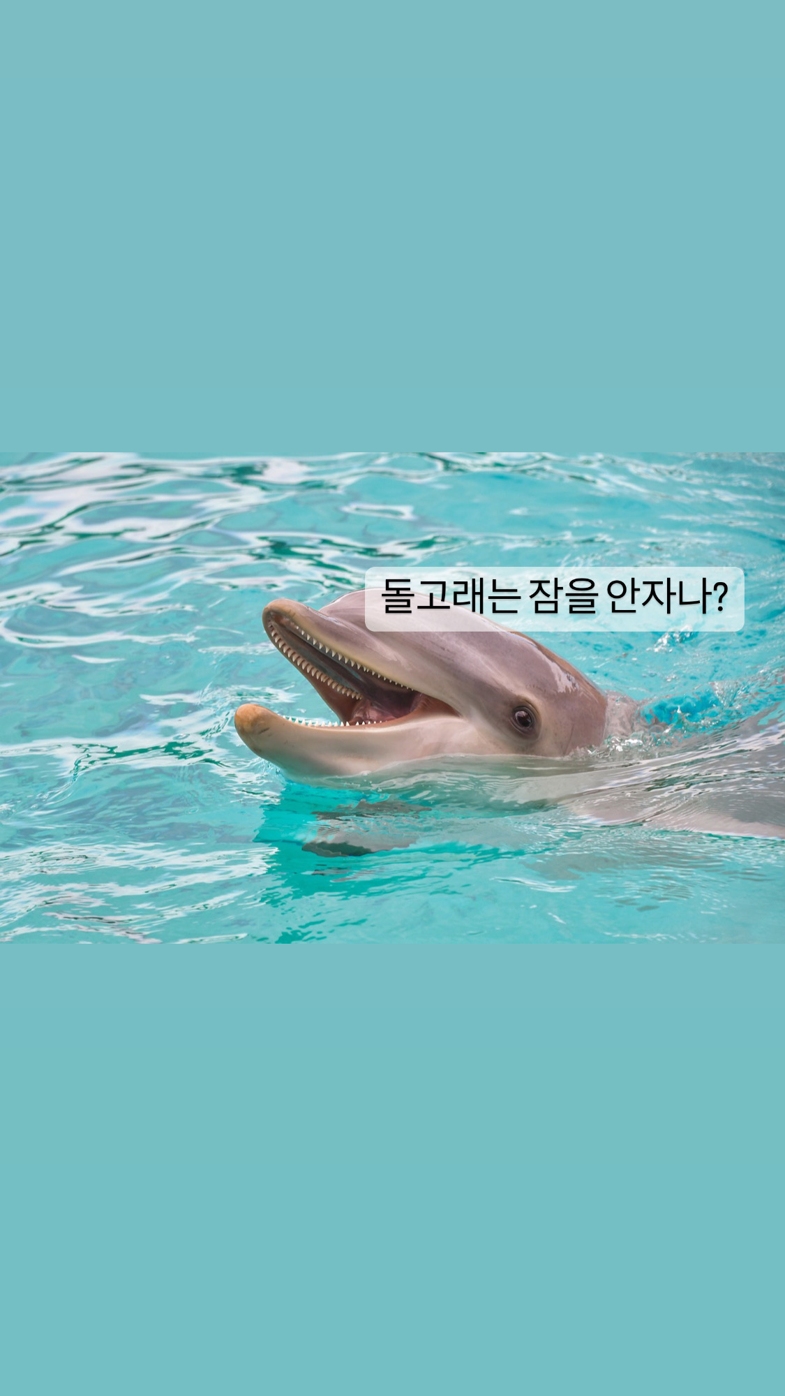  [동물]돌고래는 반만 잠든다?