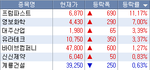 세종시 관련주 목록
프럼파스트, 영보화학, 대주산업, 유라테크, 바이브컴퍼니, 신신제약, 계룡건설