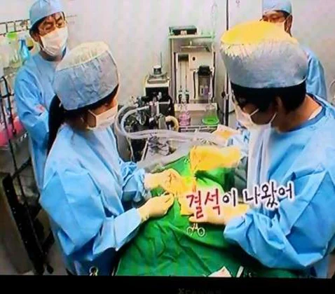 굿모닝24시동물병원