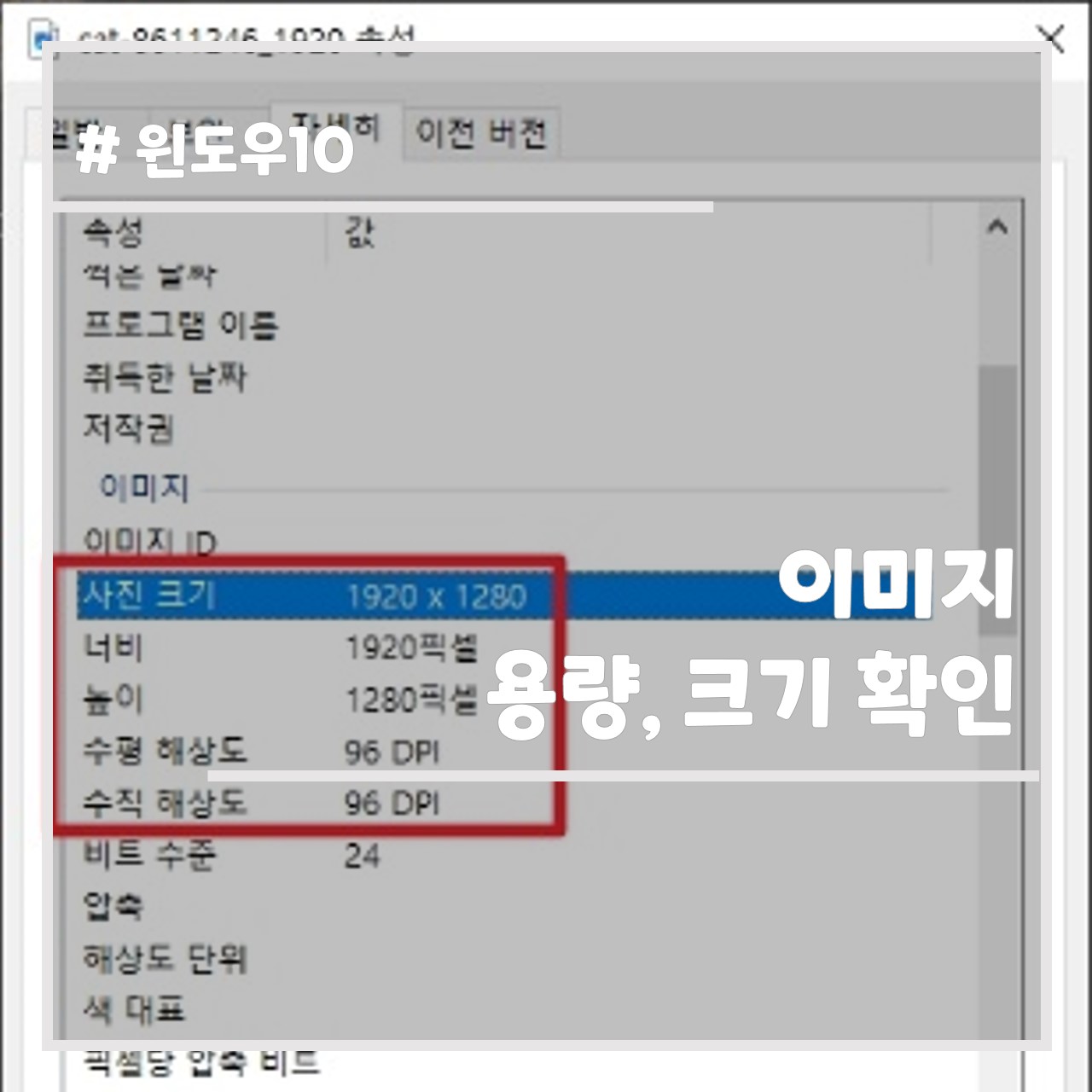 이미지 용량, 크기 확인 썸네일