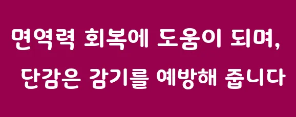 면역력 회복에 도움이 되며, 단감은 감기를 예방해 줍니다