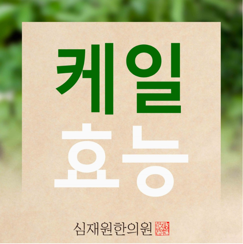 케일 효능 이석증 재발 방지에 좋다