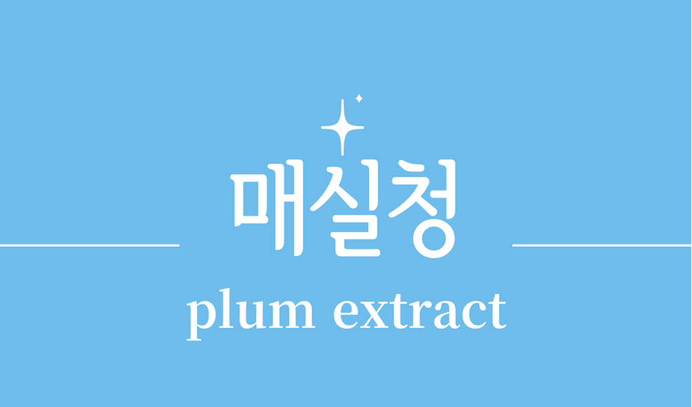 '매실청(plum extract)'