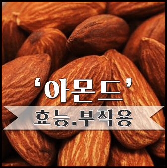  아몬드 효능 다이어트 및 부작용