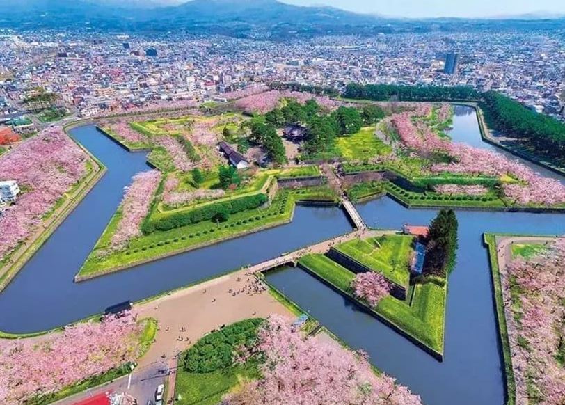 고료카쿠공원-전망대-별모양-벚꽃공원-사진