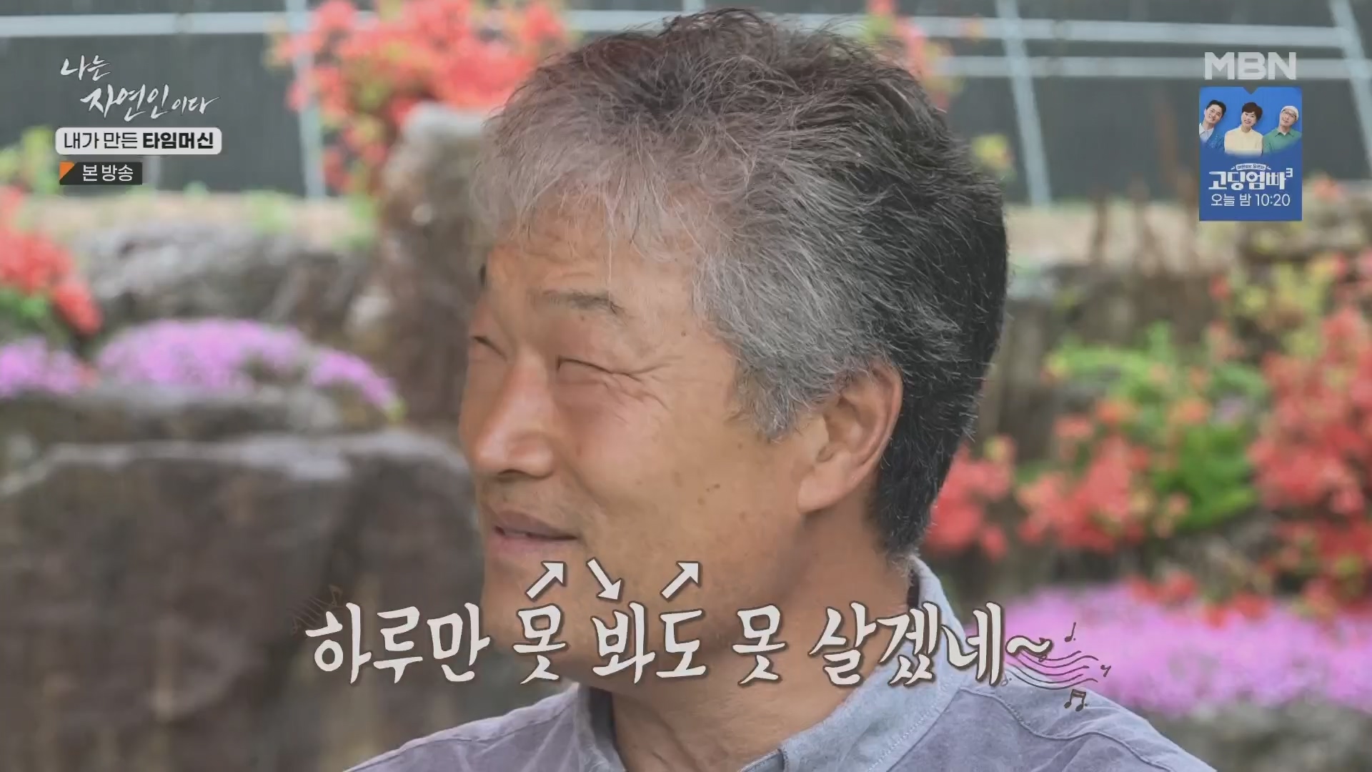 나는 자연인이다.E555.230524p.H264-F1RST.mp4_20230526_212814.334.jpg