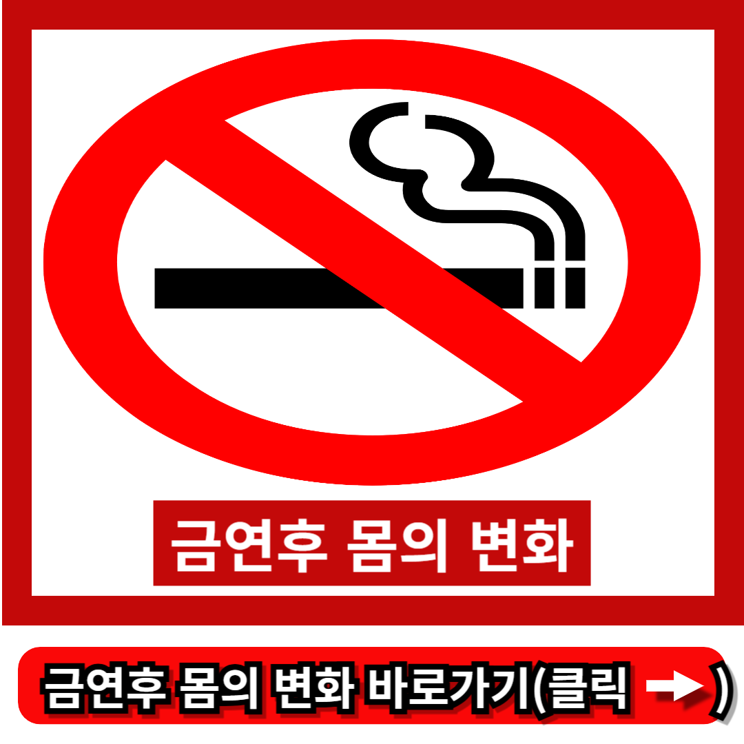 금연후 몸의 변화