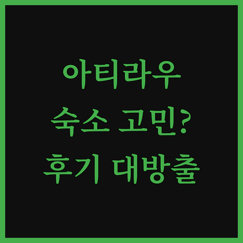아티라우 숙소 고민 끝! 내돈내산 후