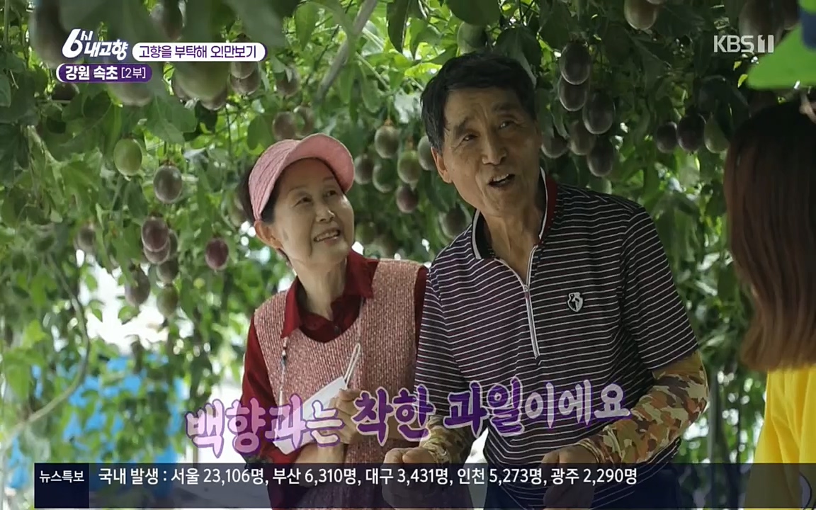 6시 내고향.E7583.220727p.H264-F1RST.mp4_20220727_213900.208.jpg