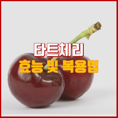  타트체리 효능 및 복용법 알고 바르게 섭취하기