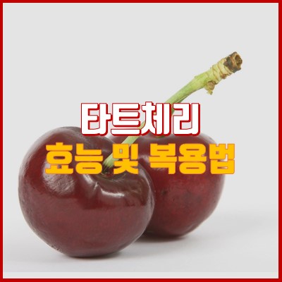 착즙 유기농 타트체리 성분 효능 복용법