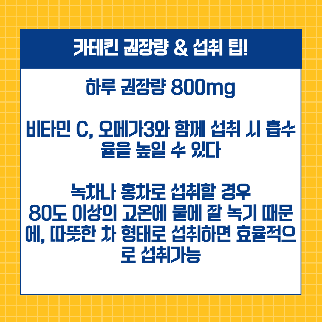 카테킨 EGCG 다이어트 효능 효과 권장량 섭취방법