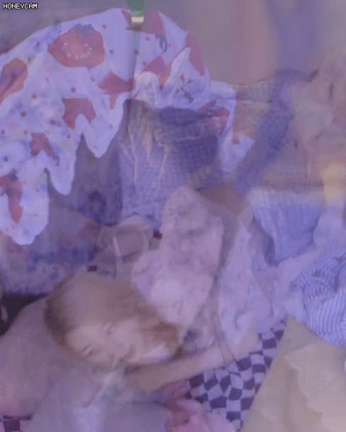 img.gif