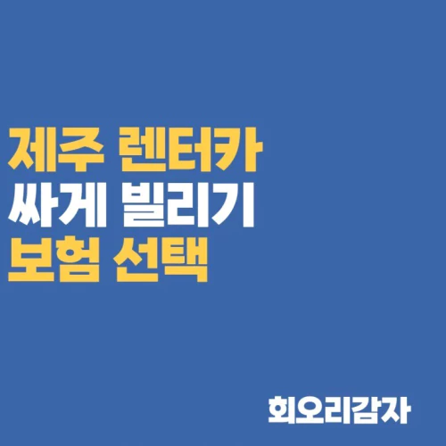  렌터카 할인 싸게 빌리는 방법 / 확인 필수 항목 정리