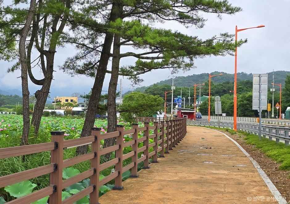 청도 유등연지