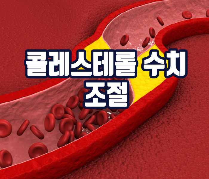 유자차 효능 - 콜레스테롤 조절효과