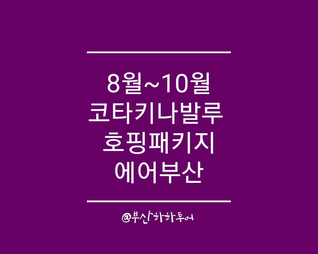 하하투어 이미지