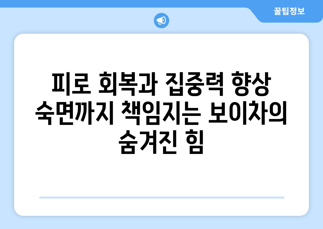 피로 회복과 집중력 향상 숙면까지 책임지는 보이차의 숨겨진 힘