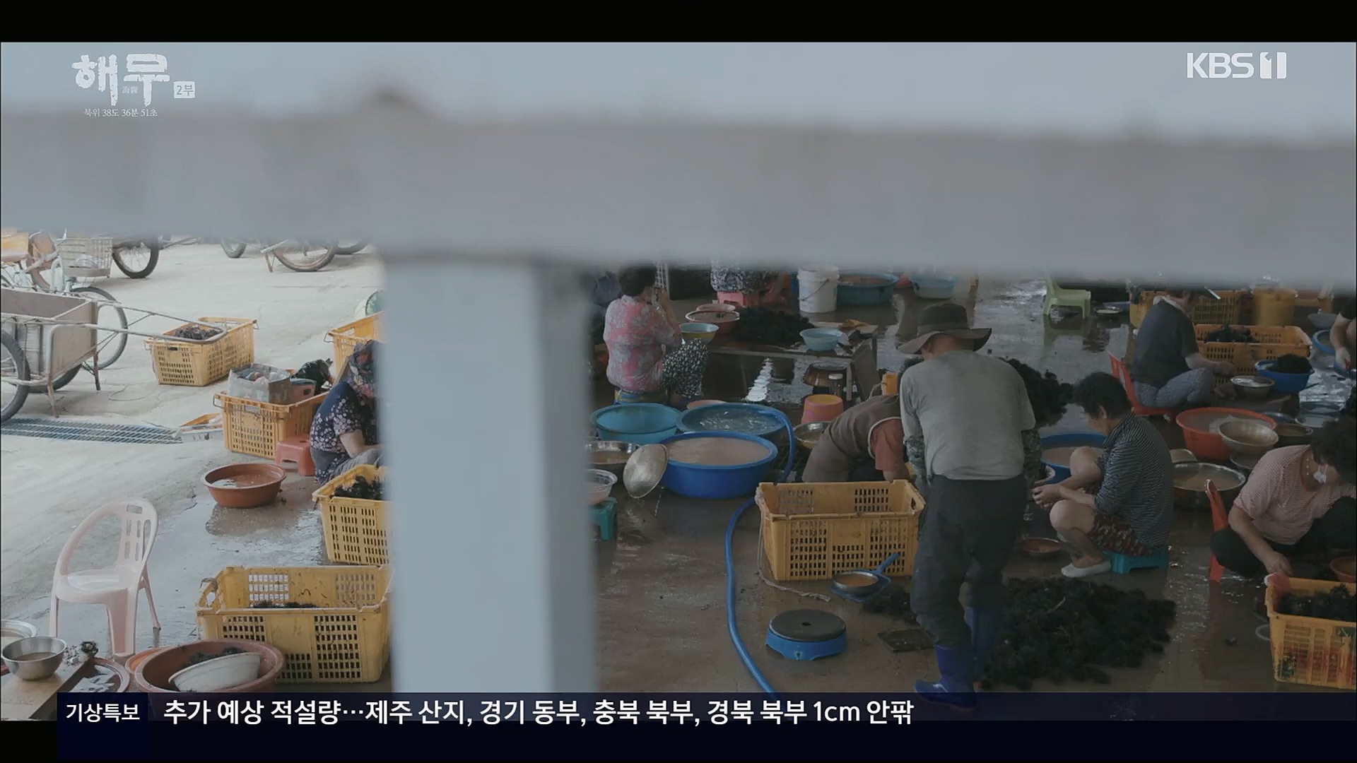 KBS 특집 다큐멘터리 해무.E02.230115p.H264-F1RST.mp4_20230116_195641.334.jpg