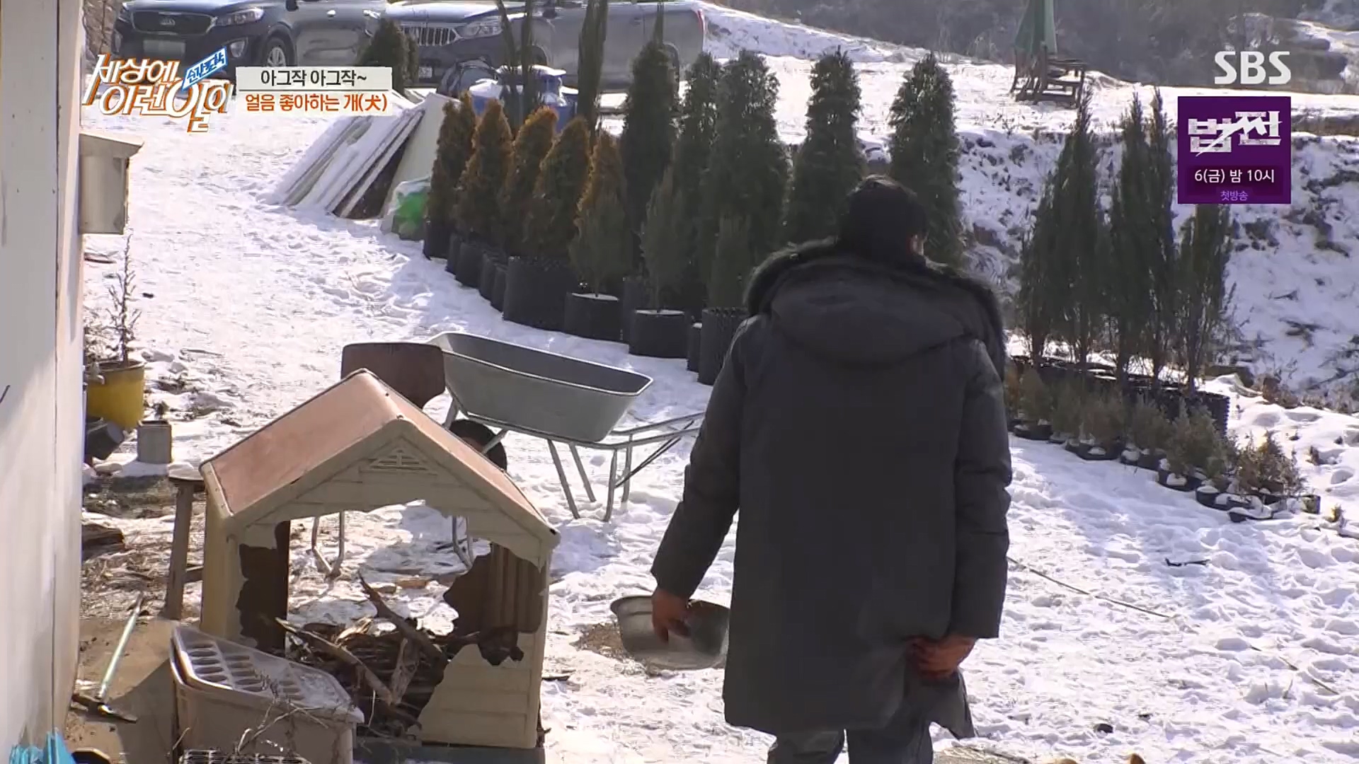 순간포착 세상에 이런일이.E1212.230103p.H264-F1RST.mp4_20230105_192334.941.jpg