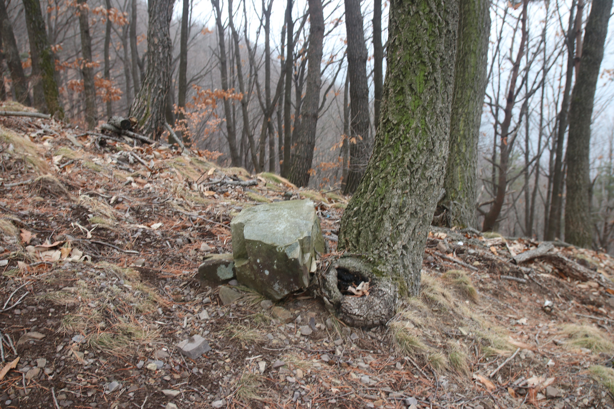 경남 의령군 국사봉 05 25