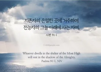 시편 1장 3절 묵상 - 그는 시냇가에 심은 나무가 철을 따라 열매를 맺으며_12