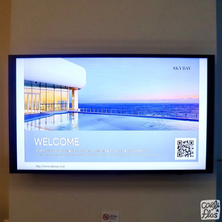 경포 쉬림프 버켓, 활어 회덮밥 15