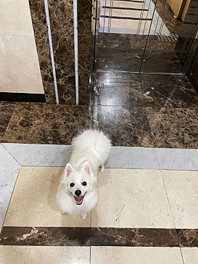 밥을안먹어요 9