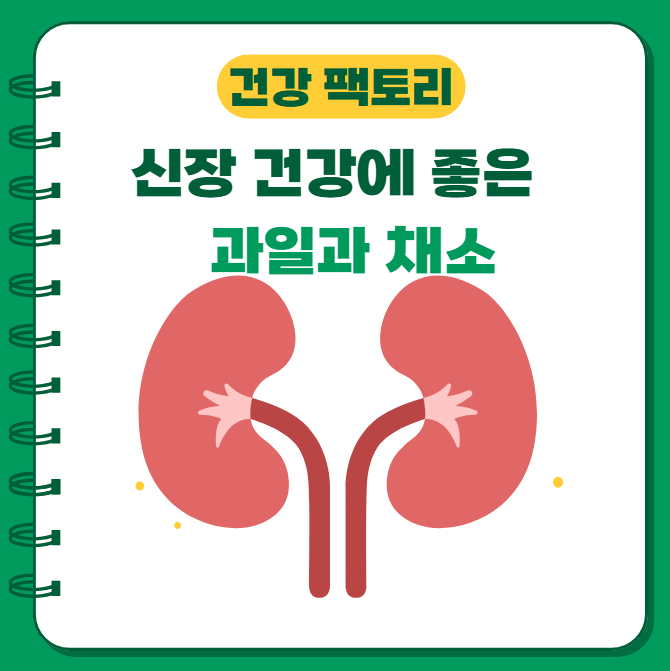신장 건강