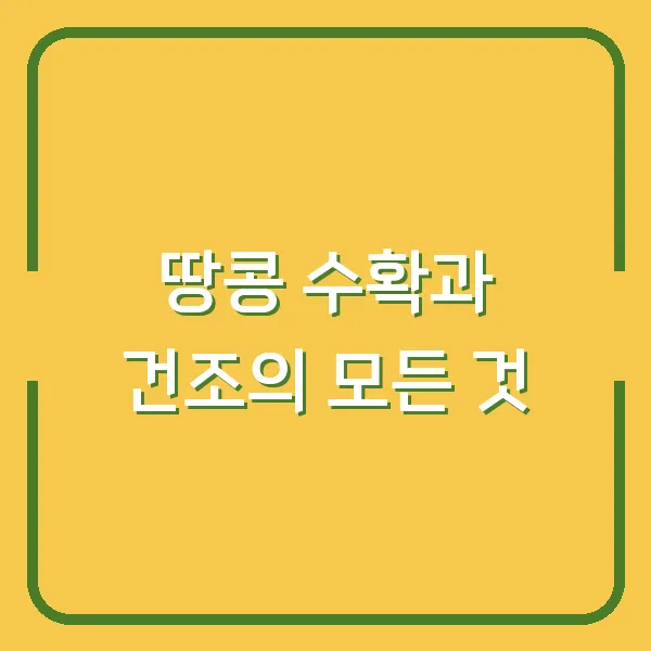 땅콩 수확과 건조의 모든 것