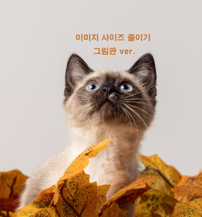 그림판으로 이미지 사이즈 줄이기