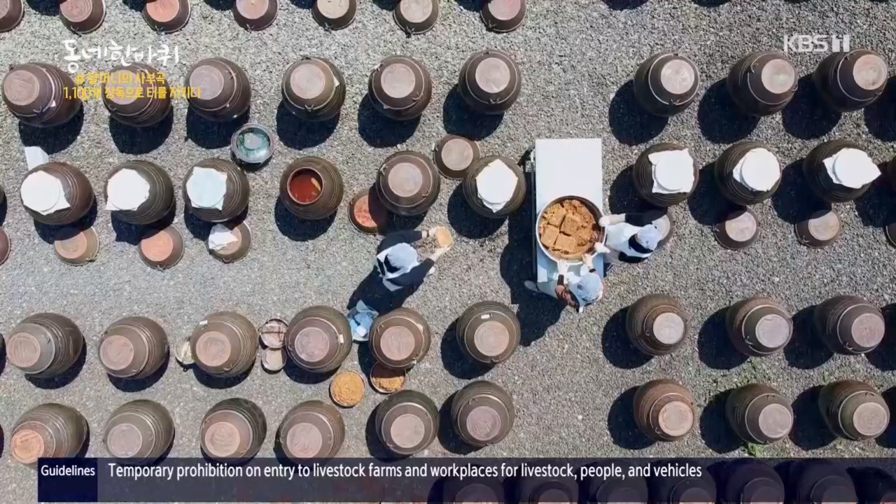 동네 한 바퀴.E221.230521p.H264-F1RST.mp4_20230522_210408.415.jpg