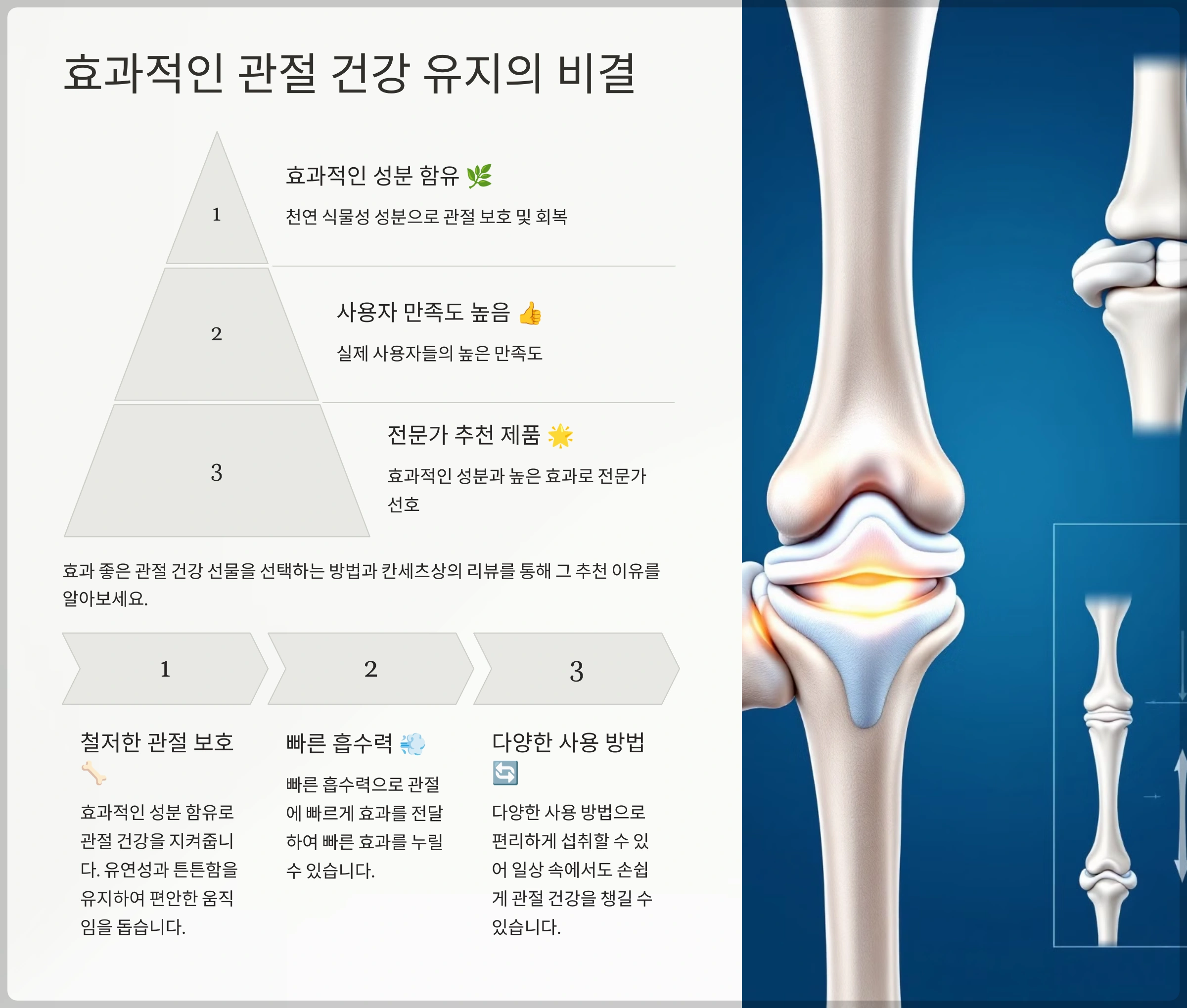 효과 좋은 관절 건강 선물을 선택하는 방법과 칸세츠상의 리뷰